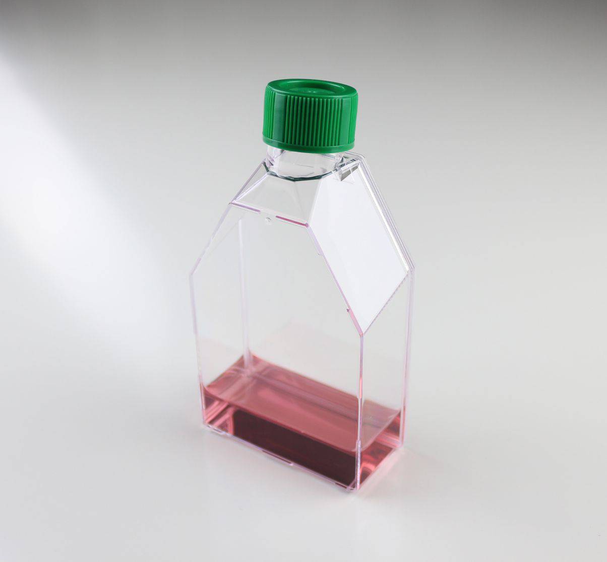 Tissue Culture Flask 25cm² ( Vented cap) - Global Scientific Ltd