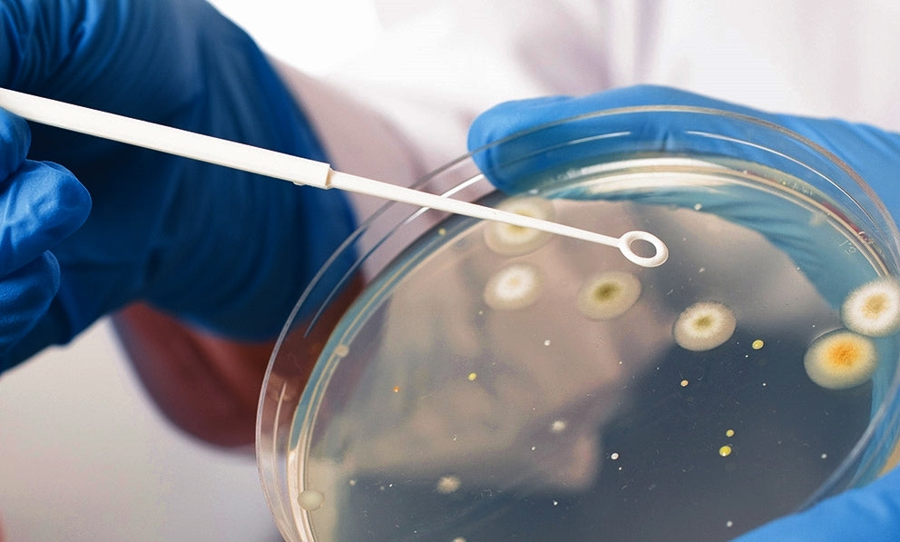 Types and Benefits of Inoculating Loops and Cell Spreaders